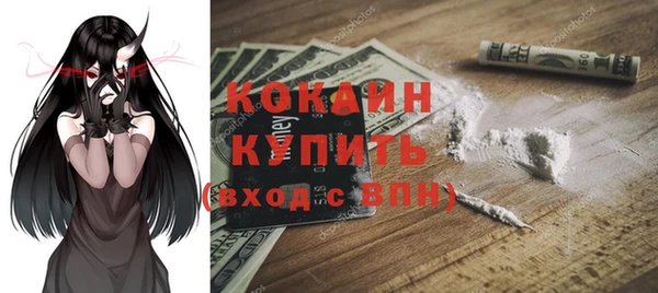 спайс Арсеньев